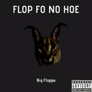 FLOP FO NO HOE.png