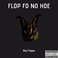 Recently removed ears floppa, Floppapedia Revamped Wiki