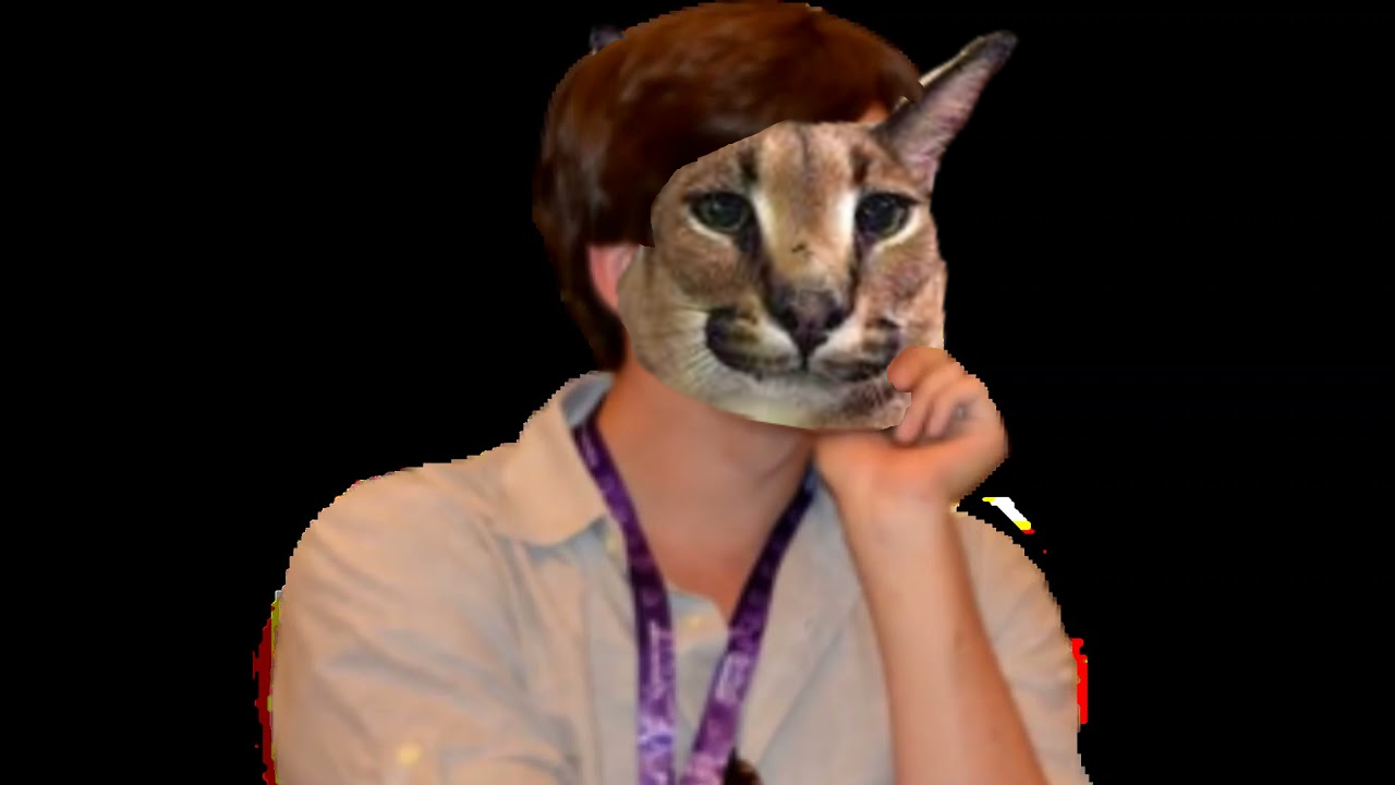 Image of a cat named floppa