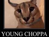 Young Choppa