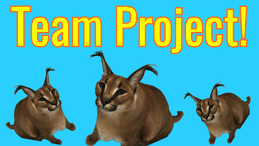 TeamProject