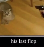 His last flop