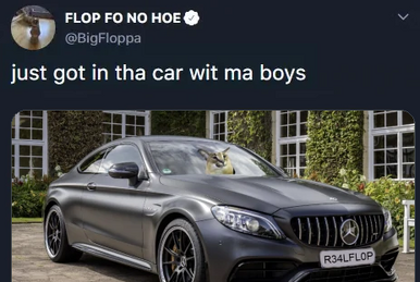 the rapper big floppa anounces his feat with the baby : r/bigfloppa