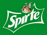 Spirte (drink)