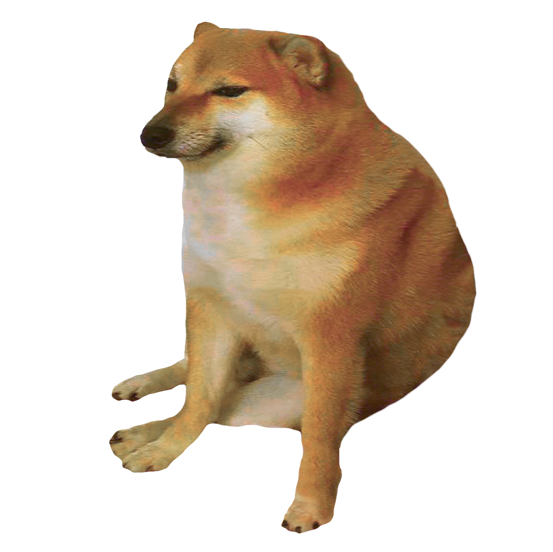 Shiba Inu Dogecoin GIF Internet meme, egypt dog transparent background PNG  clipart