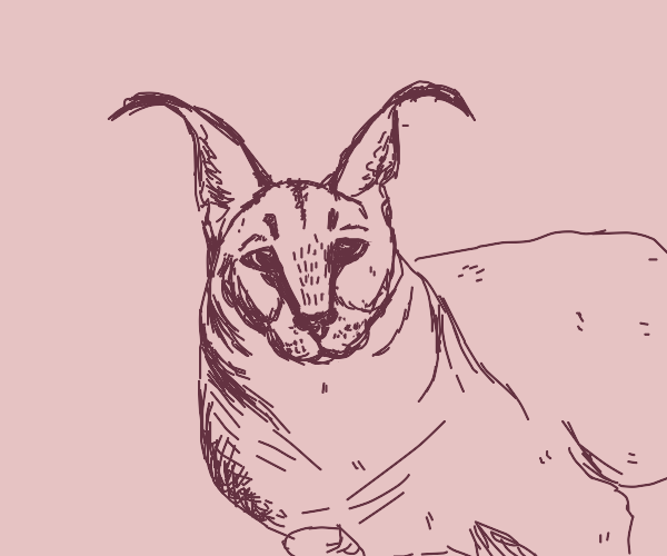 Drawn Floppa | Floppapedia Revamped Wiki | Fandom