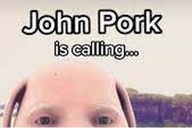 John Pork, Floptok Wiki