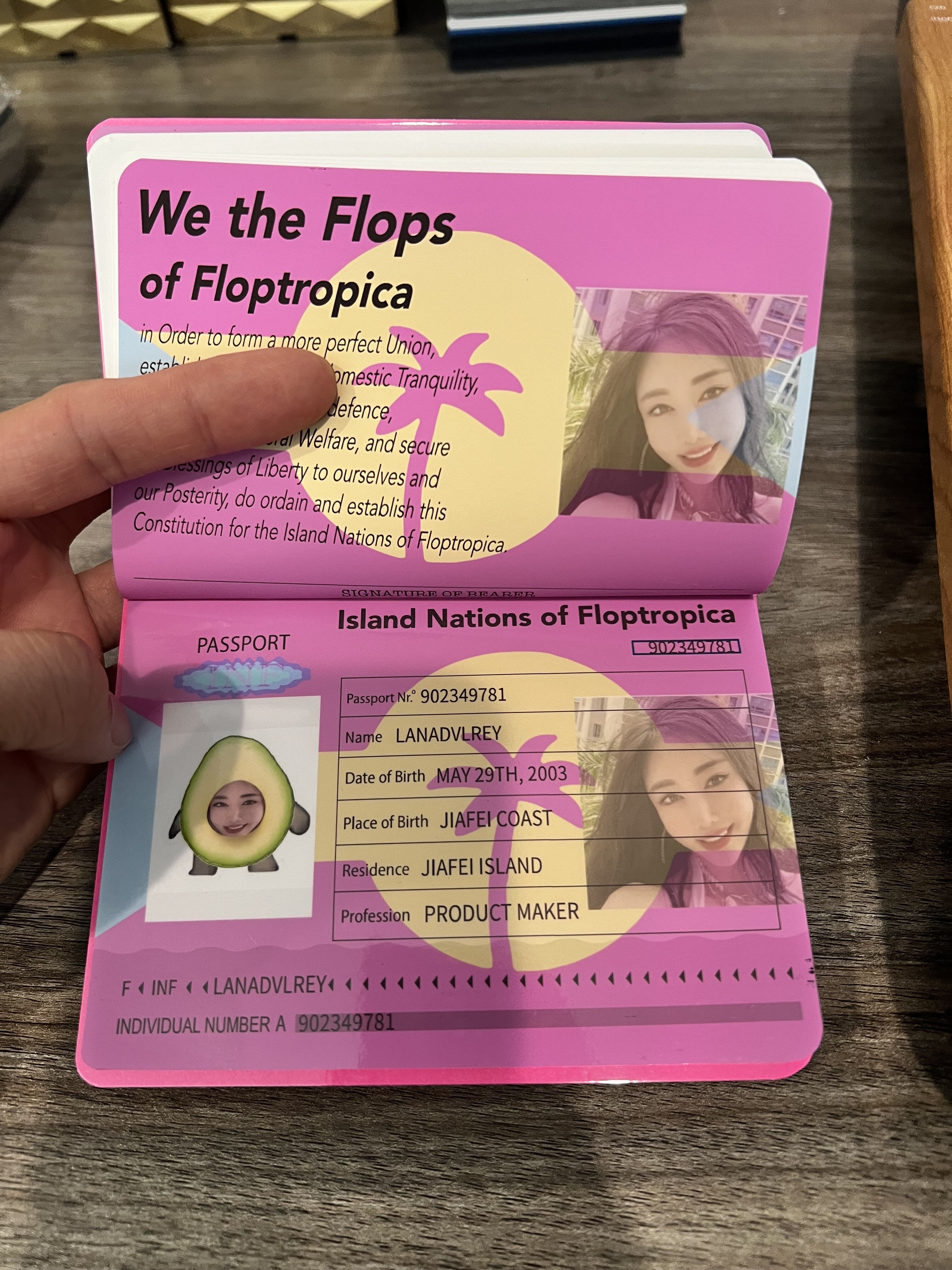 Floptropica, Floptok Wiki