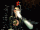 1D8571CC-2AC9-401C-8643-5299B0BD6BB0.gif