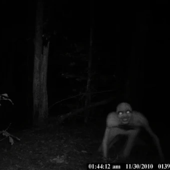 Papi Pappi Floptok Wiki Fandom