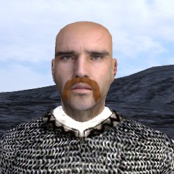 mount and blade rolf mount and blade rolf