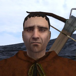 mount and blade warband floris companions