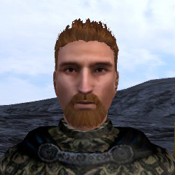 mount and blade lezalit