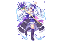 Cineraria Flower Knight Girl Wikia Fandom