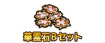 PaymentIcon 2