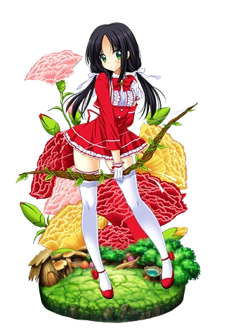 Carnation Flower Knight Girl Wikia Fandom