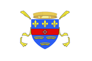 Flag of Saint Barthelemy (local)