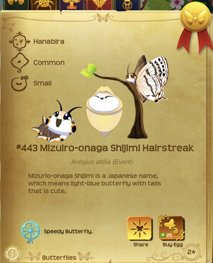 Mizuiro-onaga Shijimi Hairstreak | Flutter Butterfly