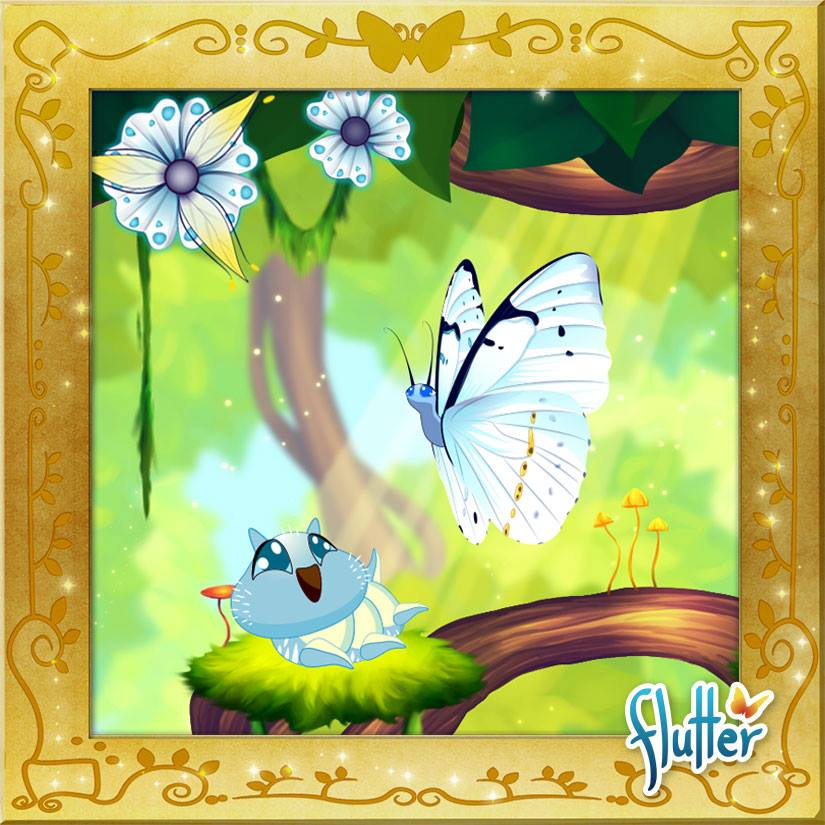 Brazilian Mother-of-Pearl | Flutter Butterfly Sanctuary Wiki | Fandom