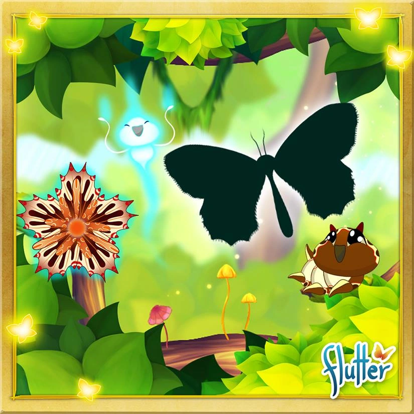 Spanish Festoon Flutter Butterfly Sanctuary Wiki Fandom