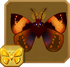 Diva Moth§Headericon