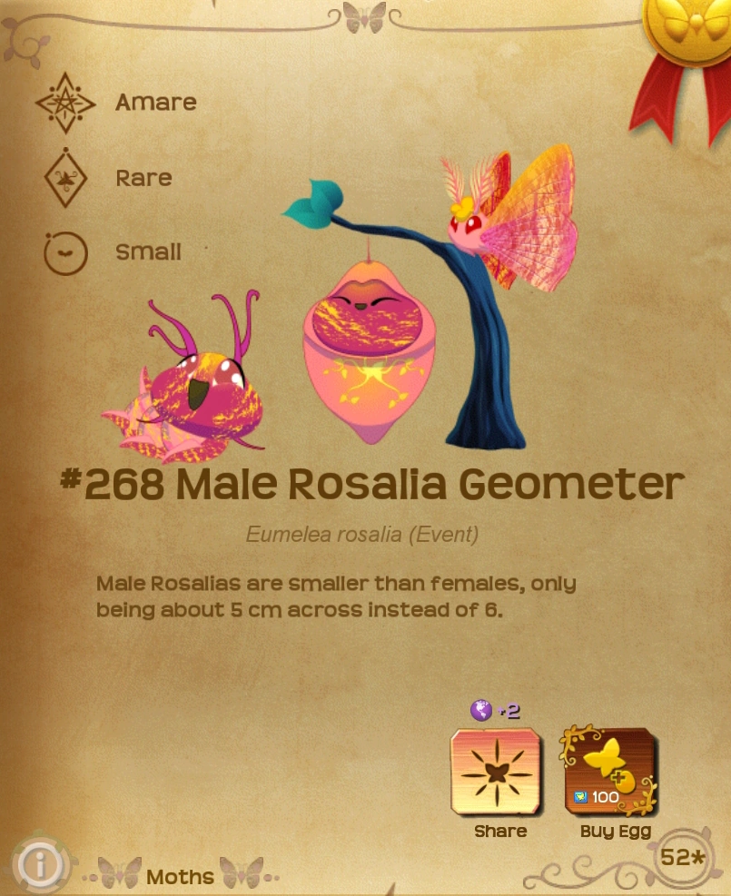 Male Rosalia Geometer Flutter Starlight Wikia Fandom