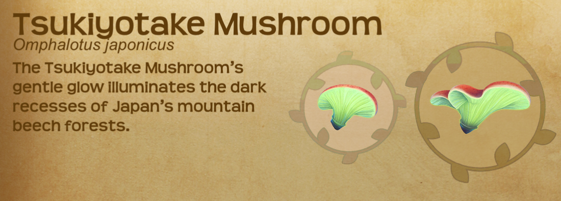 Tsukiyotake Mushroom | Flutter: Starlight Wikia | Fandom