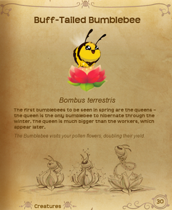 BumbleBee§Flutterpedia