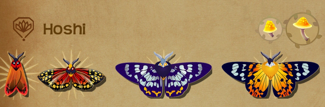 ⭐hoshi ⭐ 𝐆𝐨𝐝 𝐨𝐟 𝐓𝐢𝐠𝐞𝐫𝐬 [ ʰᵒˢʰⁱ ] | 240908 Lollapalooza