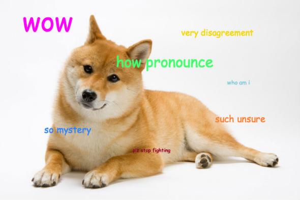 Shiba Inu  The Fandom Post