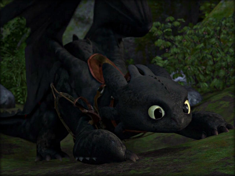 how to train your dragon 2 toothless wallpaper