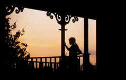 Amy Alden Porch Dusk.jpg