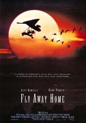 fun facts about fly away home the movie fun facts about fly away home the movie