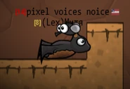 A Fly chilling with a bat