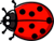 Ladybug