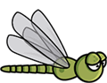 The Dragonfly's second stage of animation.