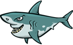 Shark