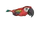 Parrot