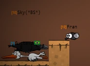 A Fly chilling with a Stork and a Raven. Since the latter two are competing for something, there must be a food near where they are