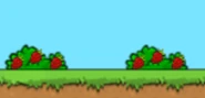 2 Strawberry bushes near each other