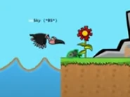 A Vulture about to eat a dead fish