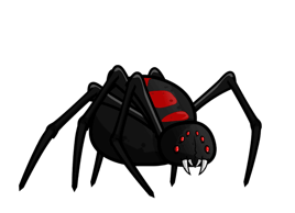 Black Widow