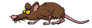 Giant Rat.png (15 KB) The Giant Rat