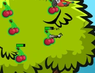 Cherry lover.png (122 KB) A Parrot eating Cherries along with a Wasp