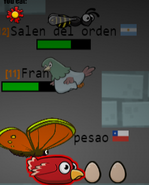 A Red Bird eating a Butterfly. The Butterfly cannot escape as a Pigeon running from a Wasp is trapping it