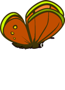 The first stage of the Butterfly's flying animation.