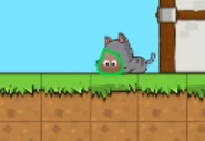 A Cat that has a Dung stuck in its head