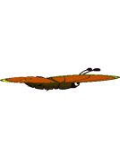 The sixth stage of the Butterfly's flying animation.