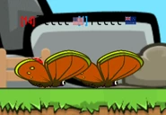 A butterfly chilling with a butterfly.