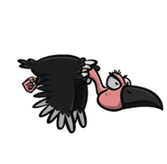 The Vulture
